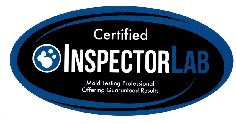 Certified Mold Inspector Florida Mold Assessment